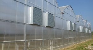 Twinwall greenhouse applications - Policam